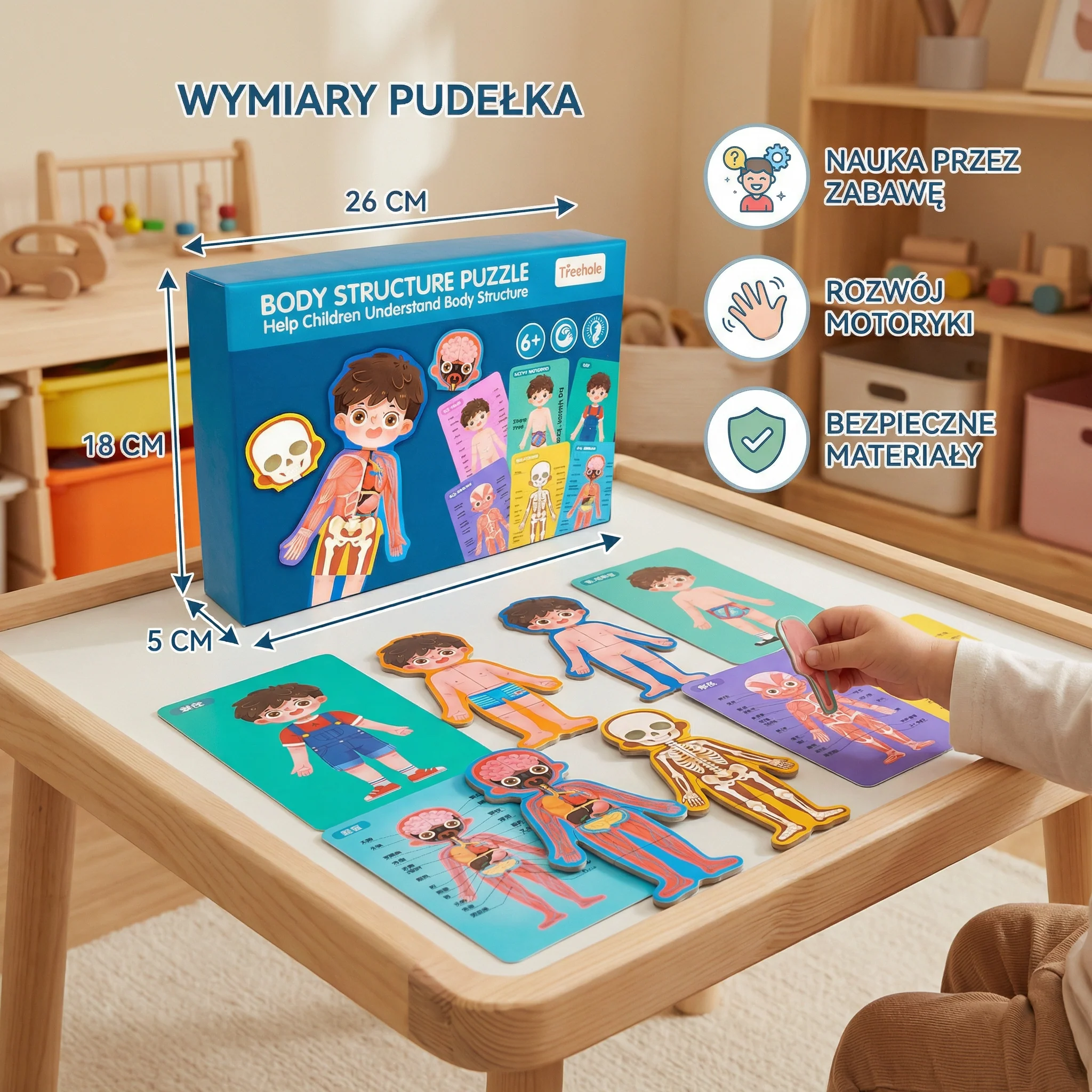 Drewniana układanka ciała człowieka dla dzieci – nauka anatomii poprzez zabawę - Image 5